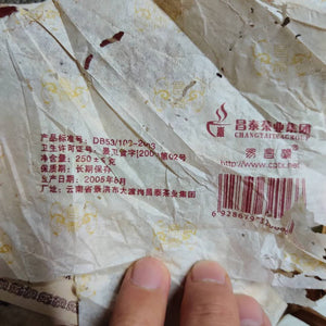 2005 ChangTai "Yi Chang Hao - Yun Pu Zhi Dian - Zhu" (Peak of Puerh Tea - Bamboo) Cake 250g Puerh Raw Tea Sheng Cha