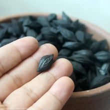 Load image into Gallery viewer, Olive / Black Olive / Longan /Walnut Shell Charcoal, Fire Starter Charcoal / Kin - photo 12