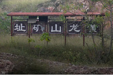 Load image into Gallery viewer, Yixing "He Dou" Teapot 120cc "Qing Shui Ni" Mud - King Tea Mall